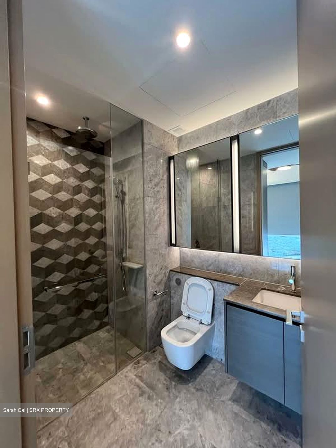 Leedon Green (D10), Condominium #565670851